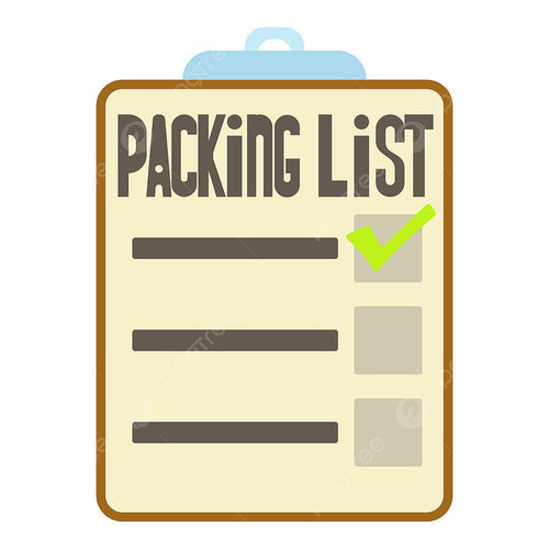 Travel Packing List